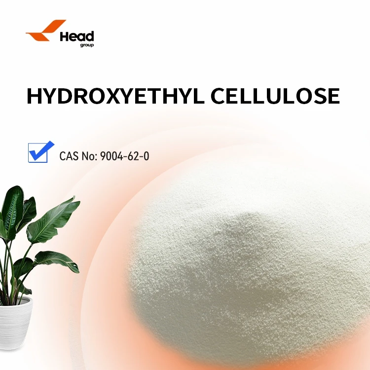 HEC for Water-based Paint